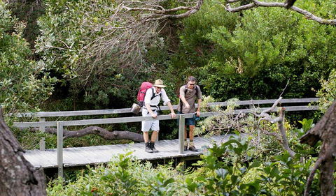 Wilsons Headland Walking Track - Attractions 0