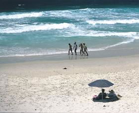 Pippi Beach Yamba - Attractions 1