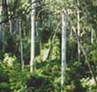 Lind National Park - Attractions