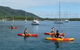Dunbogan Boatshed - thumb 1