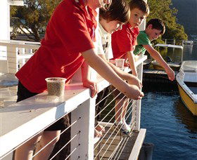 Dunbogan Boatshed - Attractions 3