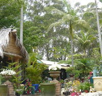 Diamond Waters Garden Nursery - Attractions