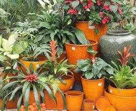 Diamond Waters Garden Nursery - Attractions 1