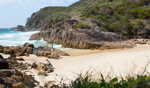 Little Bay Beach - Attractions Las Vegas 3