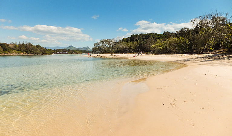 Brunswick Heads NSW Attractions