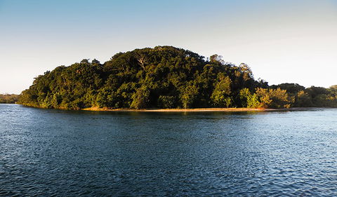 Brunswick Heads Nature Reserve - Attractions 1