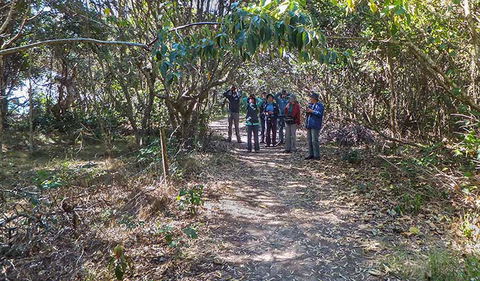 Brunswick Heads Nature Reserve - Attractions 3