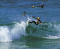 Book Cabarita Beach Accommodation Vacations Attractions Attractions