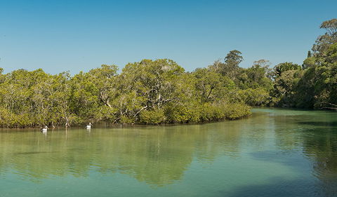 Tyagarah Nature Reserve - Attractions 0