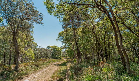 Tyagarah Nature Reserve - Attractions 2