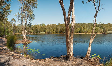Tyagarah Nature Reserve - Attractions 3