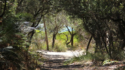 Nelson Beach - Attractions 1
