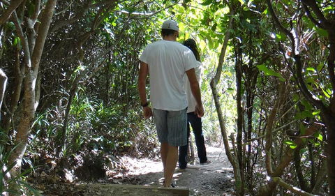 Three Sisters Walking Track - Attractions 0