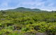 Arakwal National Park - thumb 1