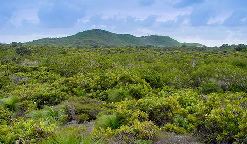 Arakwal National Park - Attractions 1