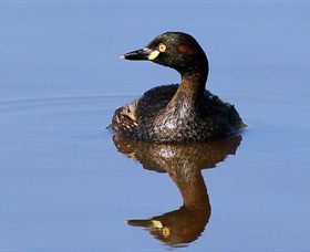 Panboola Wetlands - Attractions 0