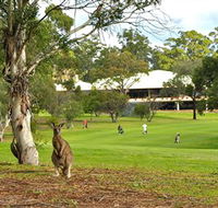 Pambula Merimbula Golf Club - Attractions