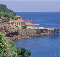 Merimbula Aquarium - Attractions
