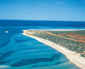 Monkey Mia - Attractions Las Vegas 0