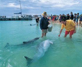 Monkey Mia - Attractions Las Vegas 2