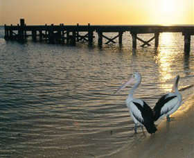 Monkey Mia - Attractions Las Vegas 3