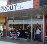 Sprout Eden - Attractions