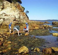 Sapphire Coast Marine Discovery Centre - Attractions