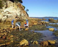 Sapphire Coast Marine Discovery Centre