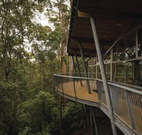 Tarkine Forest Adventures - Dismal Swamp - Attractions