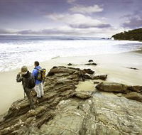 Wilderness Coast Walk - Attractions