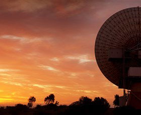 OTC Dish - Attractions 1