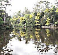 Arthur River - Attractions