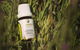 Jasmin Organics Skincare Farm And Factory - thumb 7