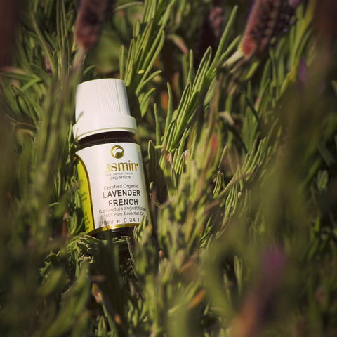 Jasmin Organics Skincare Farm And Factory - Attractions 7