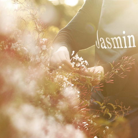 Jasmin Organics Skincare Farm And Factory - Attractions 8