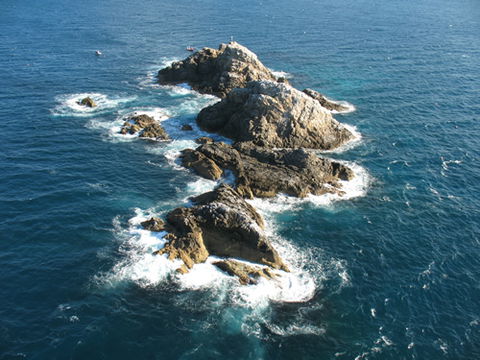 Cape Byron Marine Park - Attractions 1