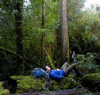 The Tarkine Drive - Attractions