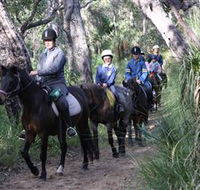 Mirravale Horse Riding School - Attractions