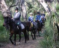 Mirravale Horse Riding School