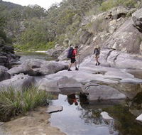 Nadgee Wilderness Walk - Attractions