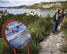 Rocky Cape National Park - Attractions 0