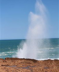 Blowholes and Point Quobba