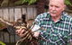 Lobster Ponds - thumb 0