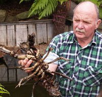 Lobster Ponds - Attractions