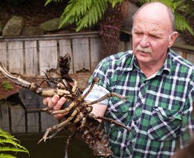 Lobster Ponds - Attractions 0
