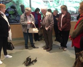 Lobster Ponds - Attractions 1