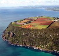 Table Cape - Attractions