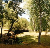 Oldina Picnic Area - Attractions