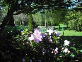 Annsleigh Gardens And Cafe - Attractions 3
