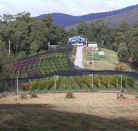 Motton Terraces - Attractions